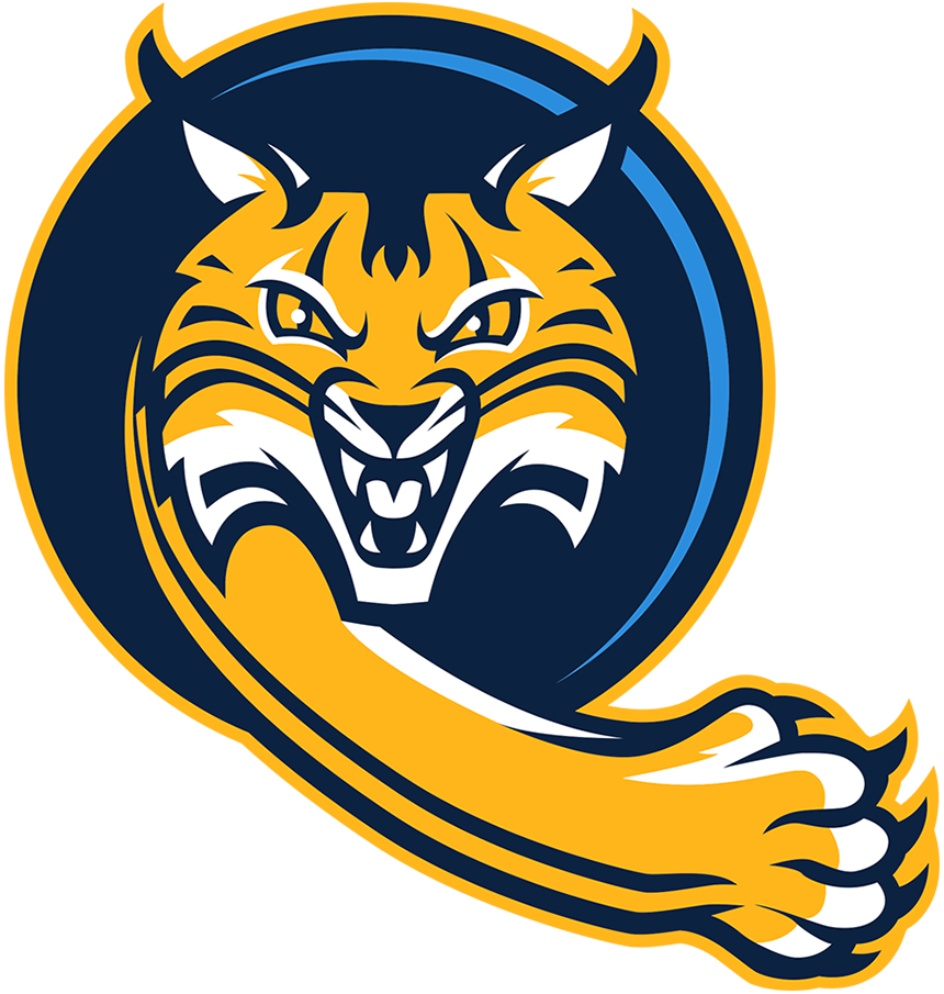 Quinnipiac Bobcats 2019-Pres Alternate Logo v4 t shirts iron on transfers